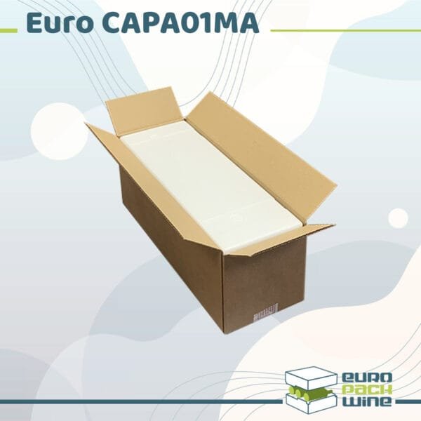 Solution complète Euro Magnum-01MA