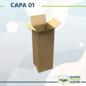 CAPA 01 - Carton 13 x 12 x 37 cm