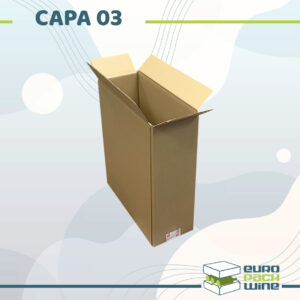CAPA 03 - Carton 38 x 13 x 34 cm