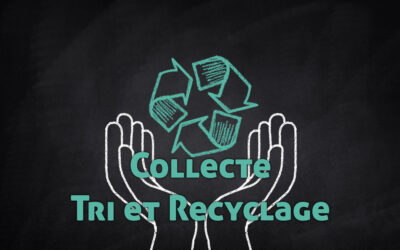 Collecte de tri et de recyclage