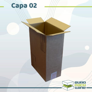 CAPA 02 - Carton 24 x 13 x 37 cm