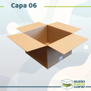 Capa 06 - carton 37 x 24 x 33 cm