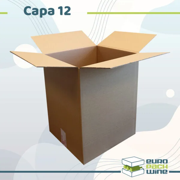 Capa 12 - Carton 37 x 33 x 46 cm - europackwine