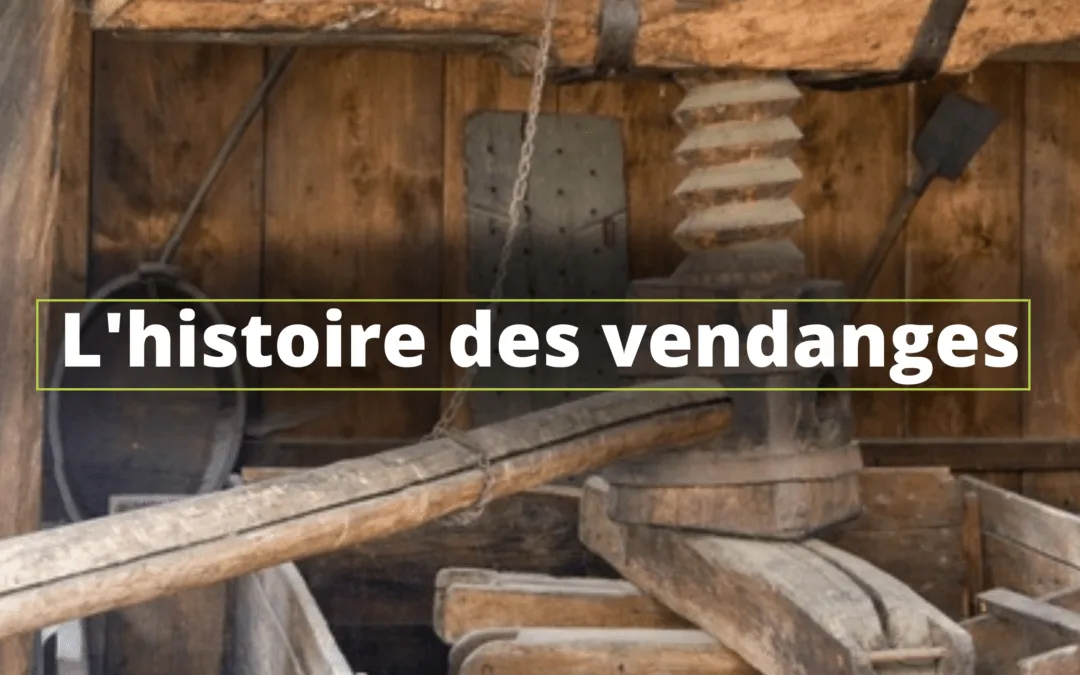 L&rsquo;histoire des vendanges