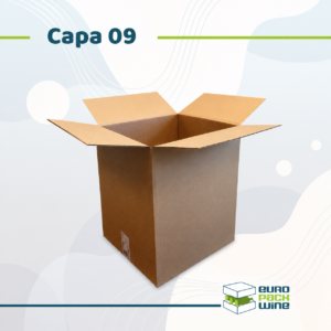 Capa 09 - Carton 37 x 28 x 39 cm